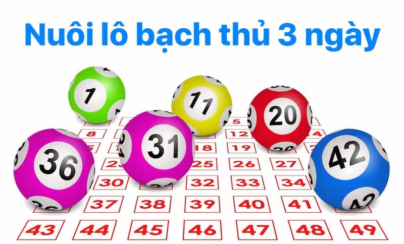 Lô bạch thủ khung 3 ngày cho dự đoán chính xác cao